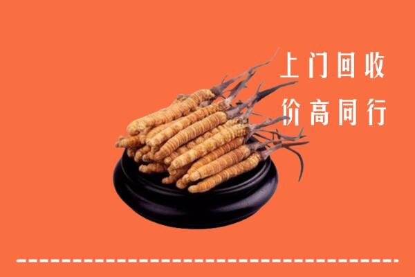 高价求购：武威回收散虫草