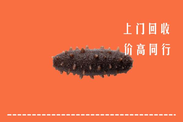高价求购：武威回收海参