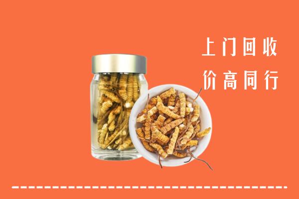 武威回收冬虫夏草