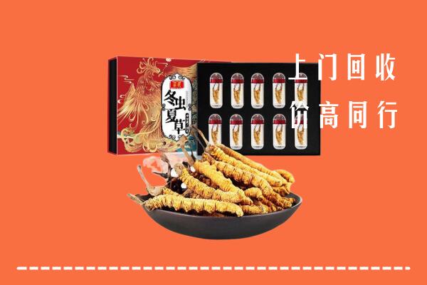 武威回收虫草